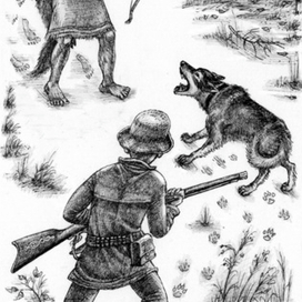 Навстречу приключениям...