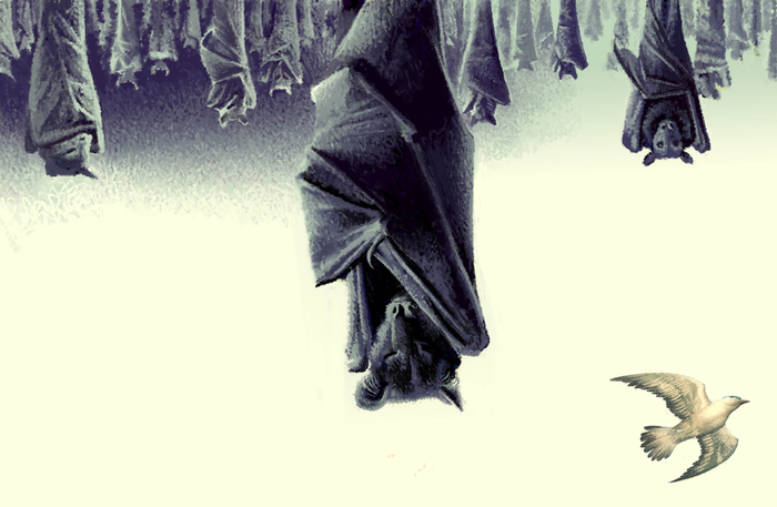 Кольцо Белого Волка. Разворот4