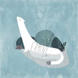 Горностаевые будни