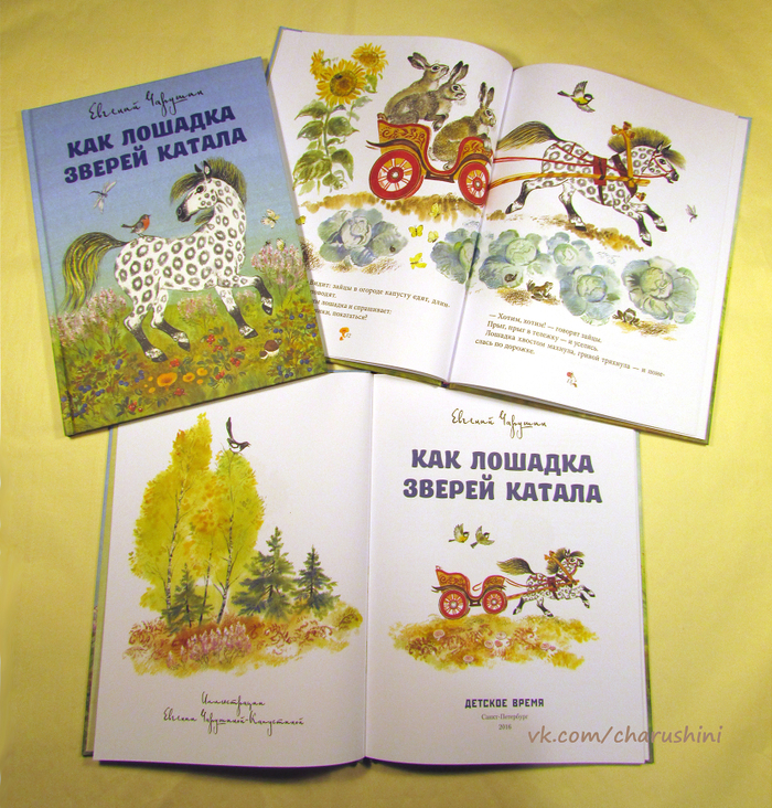 Рисунок на переплёт, разворот и распашной титул 