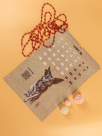 Лохматые судьбы