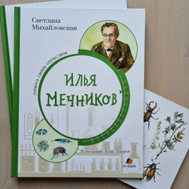 Книжная иллюстрация 