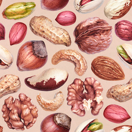 Акварельные иллюстрации орехов