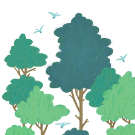 Кто живет в лесу?