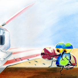 Муха-чистюха. СБ.