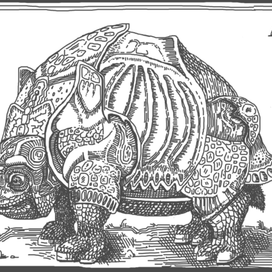 "This turtle needs a shell"