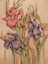 "Ирисы"