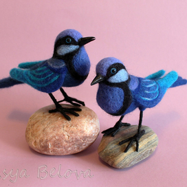 Блестящий расписной малюр