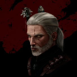The Witcher
