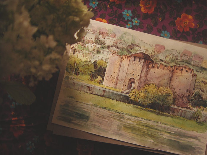 Сорокская крепость