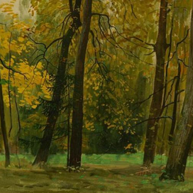 В осеннем парке