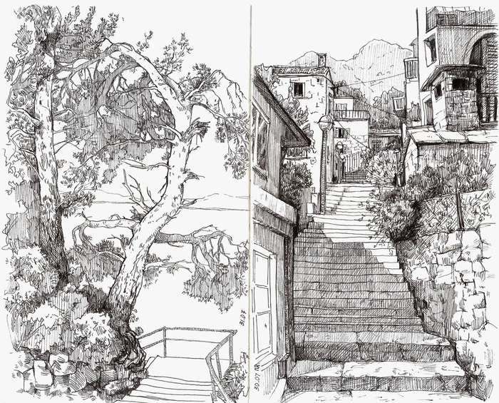 Сосны и лестницы