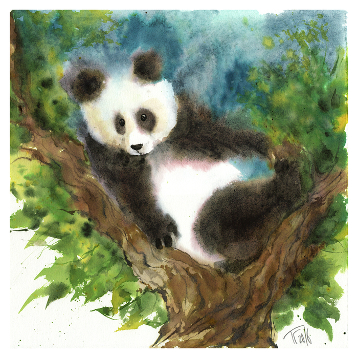 Вот Панда. Немного глупая...