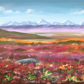 Осень в тундре