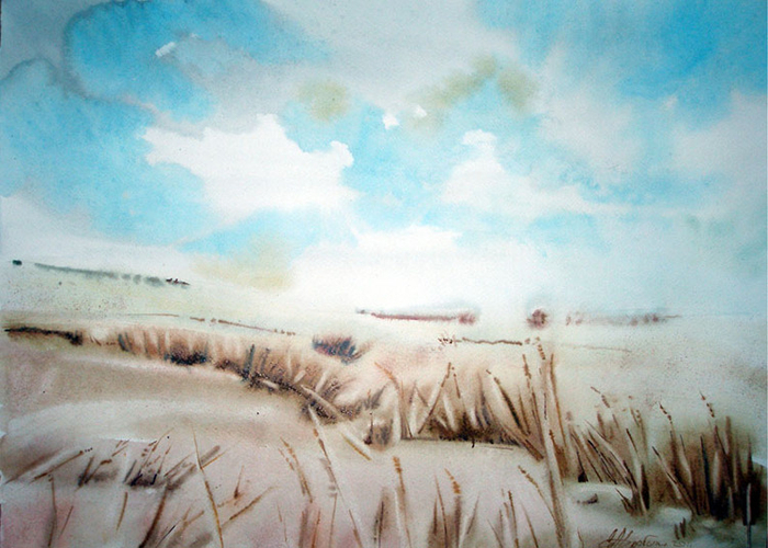 забытая полоса.