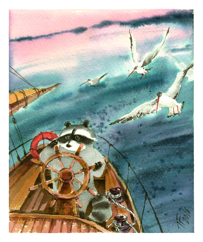 Рулевой Енот