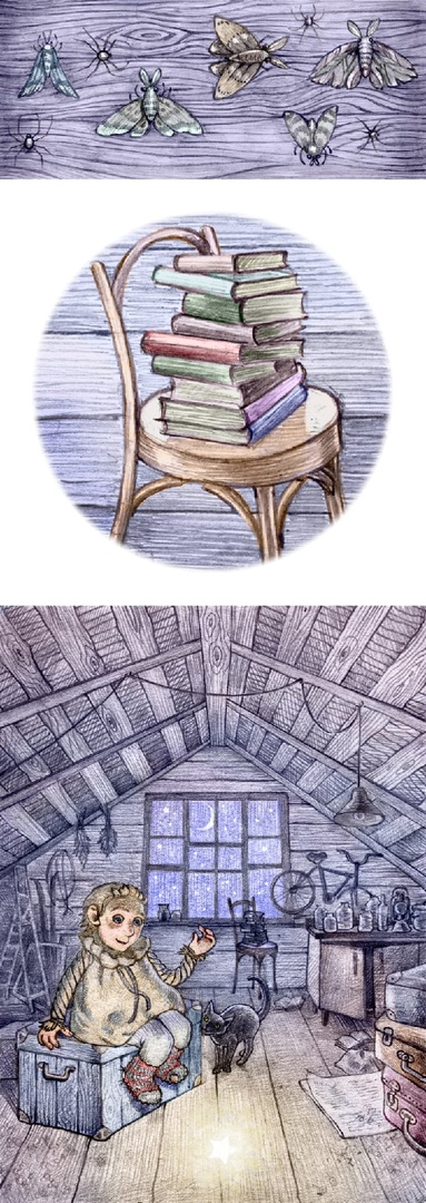 Старый чердак , владения моли