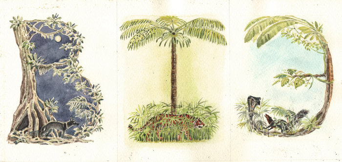 Буквицы к "Книге джунглей"