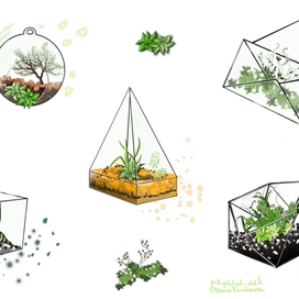 Флорариумы