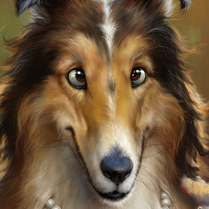 Колли и канабис