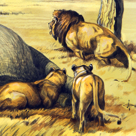 Встреча у трофея.