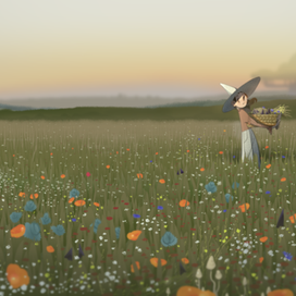 Сбор лечебных трав