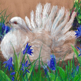 Белый голубь и синие цветы 