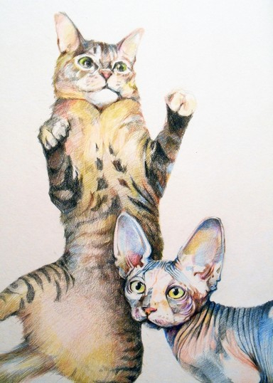 "ЙО-ЙО" (фрагмент)