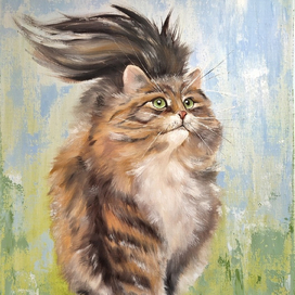 Пушистый кот