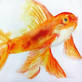 Золотая рыбка
