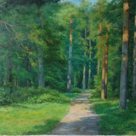 Дорога в сосновый бор