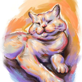 Кошка из приюта для благотворительных открыток