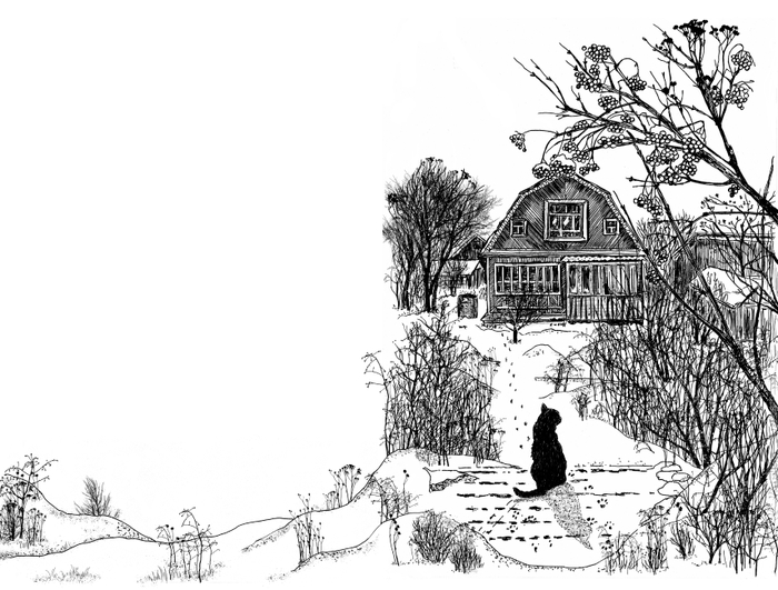 Разворот к книге "Долгая дорога домой" издательства Феникс-Премьер