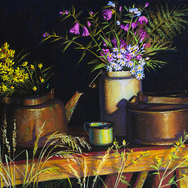 В свете костра