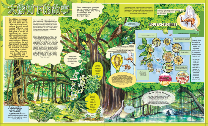 Иллюстрация для китайского издательства