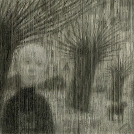 Северные пальмы