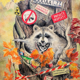 Осторожно! Енот!