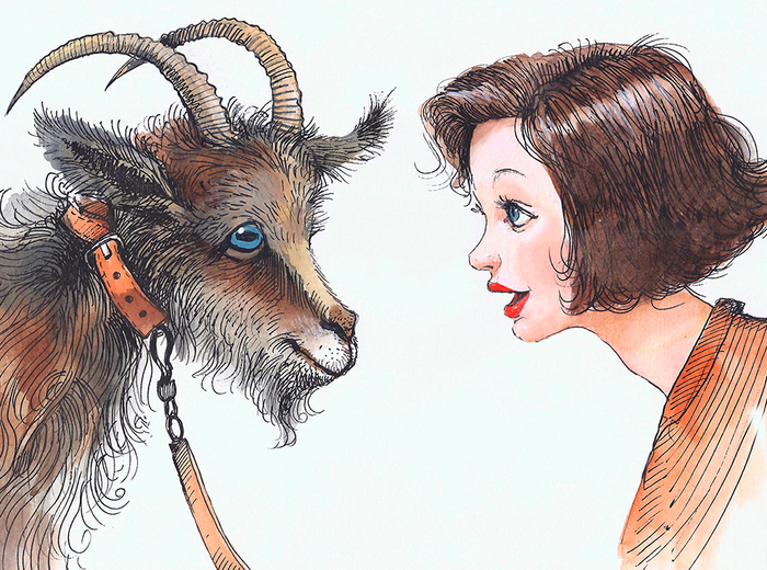 Папа привел домой козу.