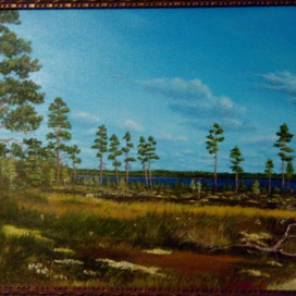 Северное болото