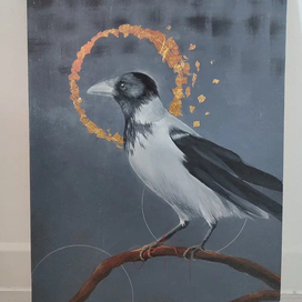 Серая ворона