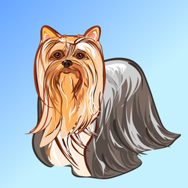 Йоркширский терьер