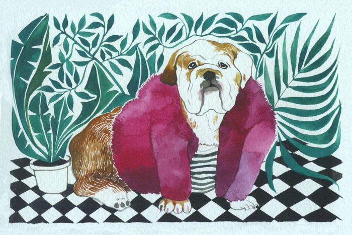 Бульдог Боренька