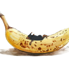Моя Микеша на банане
