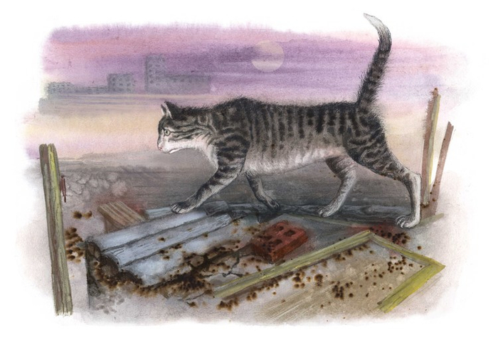 В поисках утерянного счастья...