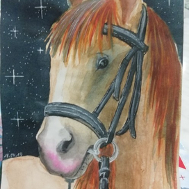 Звездная лошадь