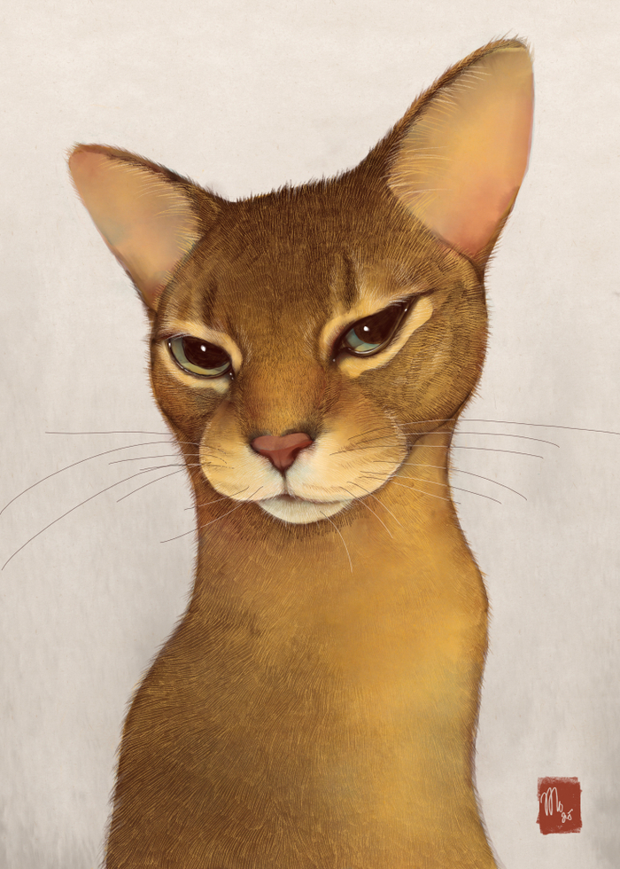 Без названия