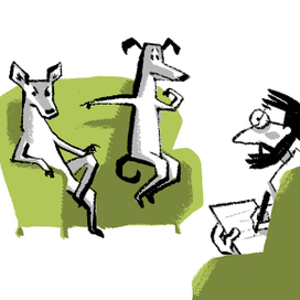 так мои собаки ходили к зоопсихологу