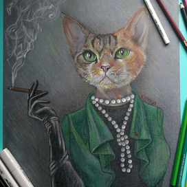 Кипрея - кошка вамп 