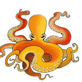 Осьминожка