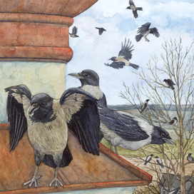 Дозорные вороньей стаи